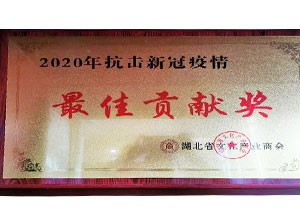 2020年湖北省文化產(chǎn)業(yè)商會 2020抗擊新冠疫情最具貢獻獎